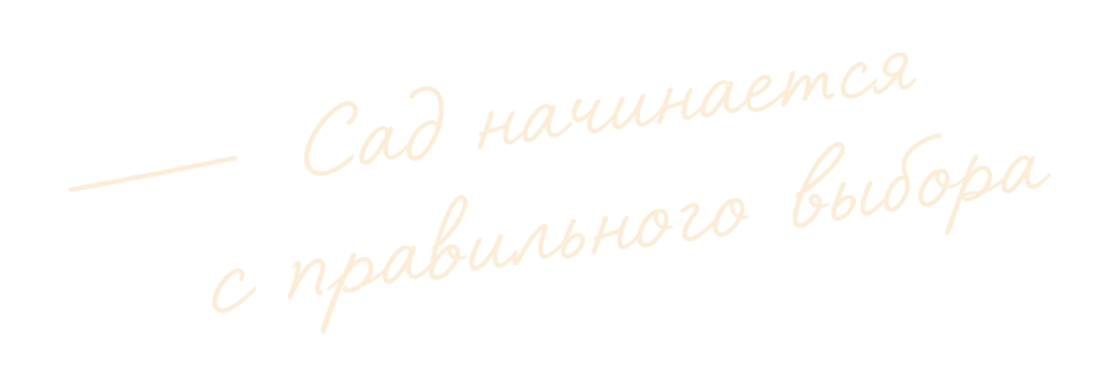 Сад начинается с правильного выбора
